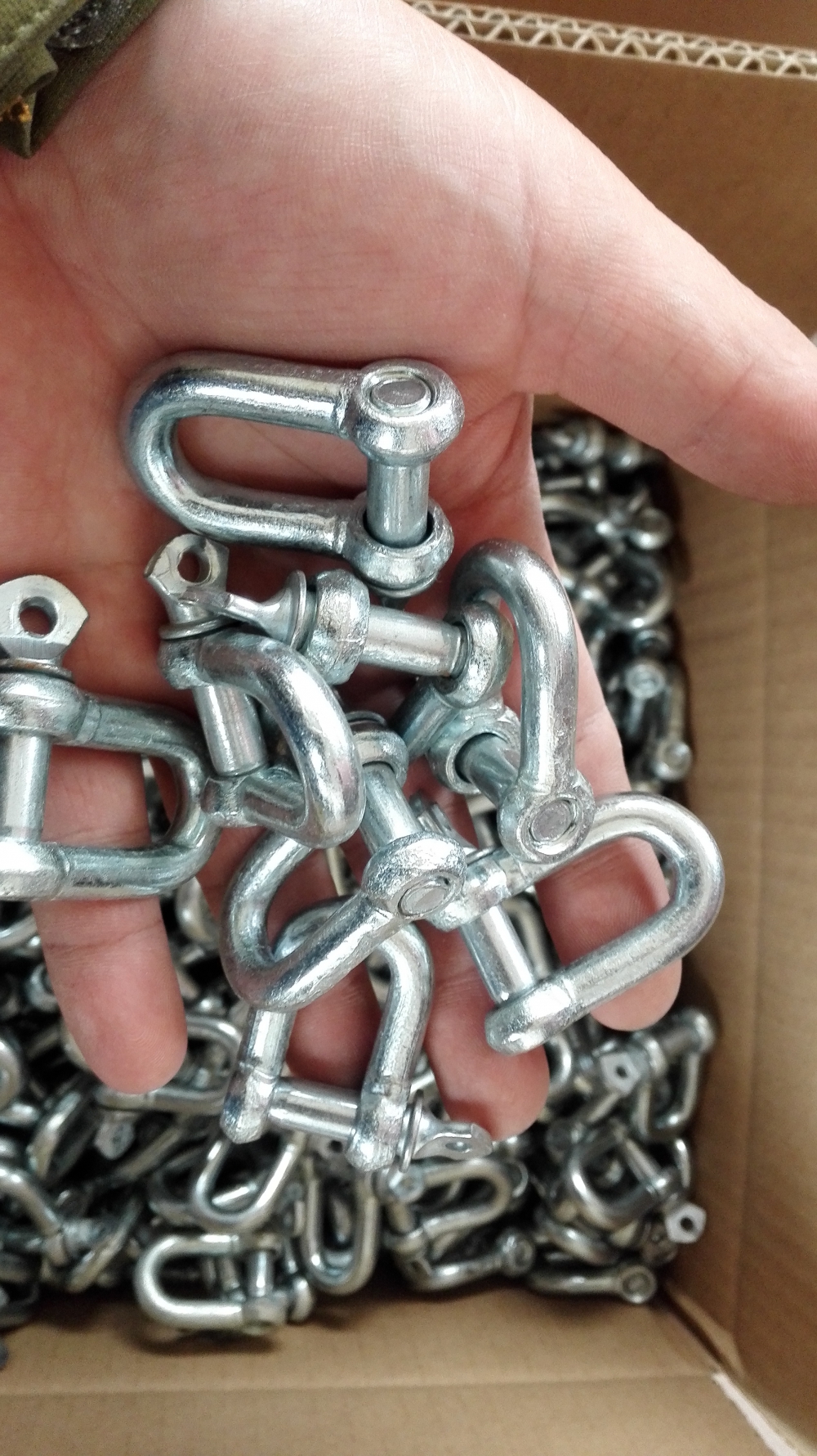 Galvanized Large Dee Screw Pin Shackle Chain Shackle Straight Shackle