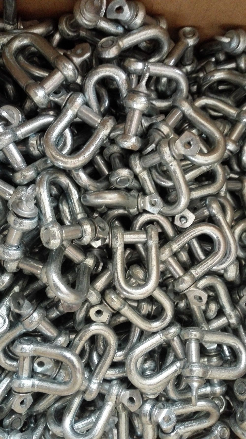 Galvanized Large Dee Screw Pin Shackle Chain Shackle Straight Shackle