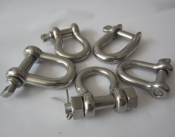 Customized Special Size Width D Shackle in Ss 316