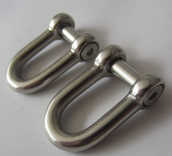 Customized Special Size Width D Shackle in Ss 316